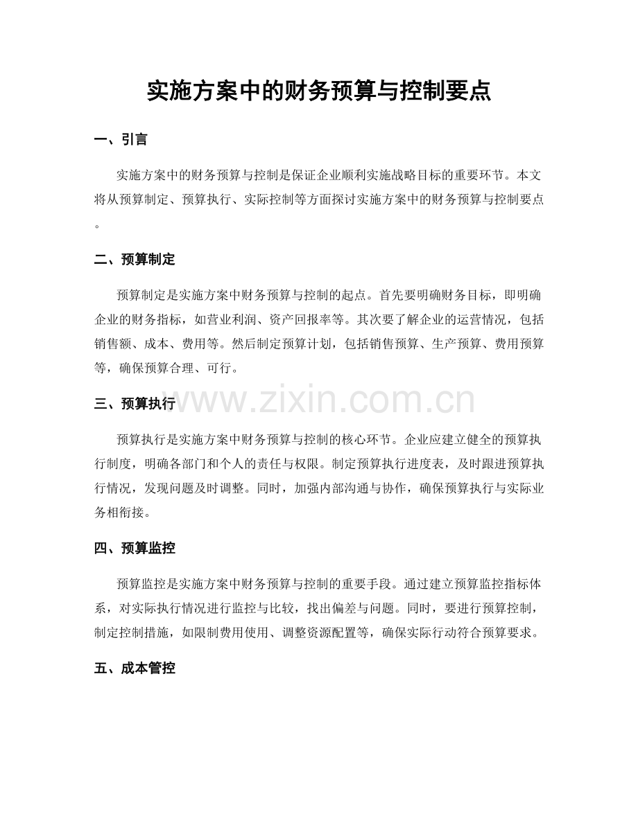 实施方案中的财务预算与控制要点.docx_第1页