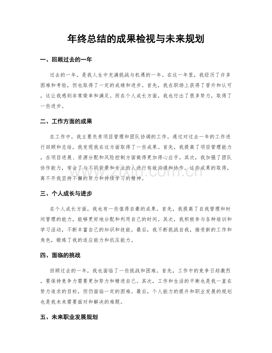 年终总结的成果检视与未来规划.docx_第1页