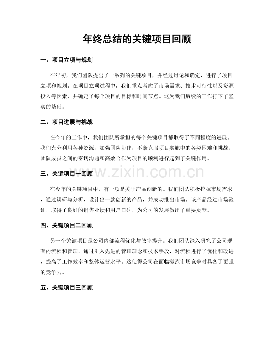 年终总结的关键项目回顾.docx_第1页