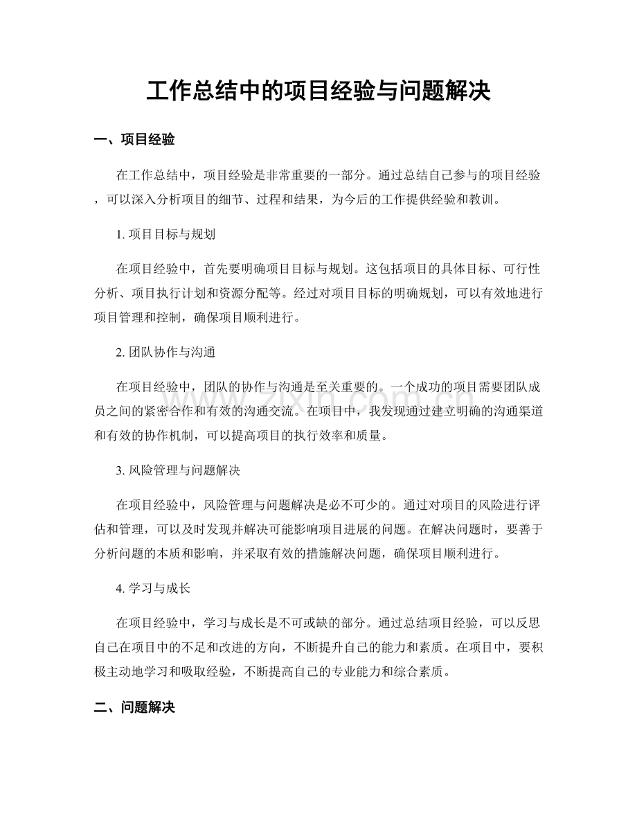 工作总结中的项目经验与问题解决.docx_第1页