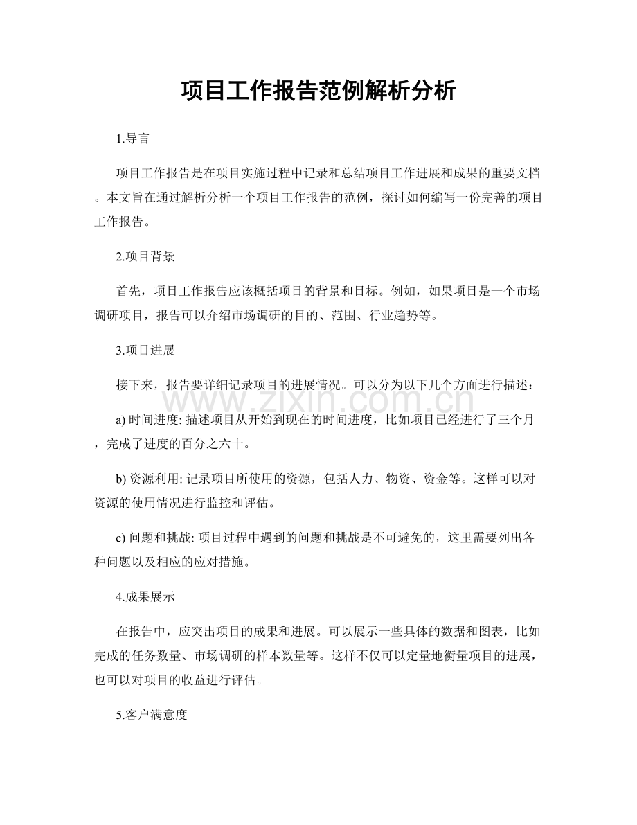 项目工作报告范例解析分析.docx_第1页