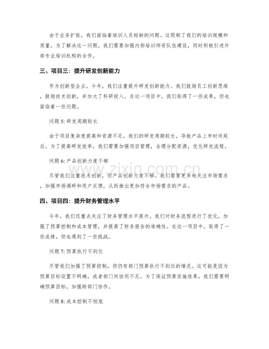 年终总结的重点项目与问题分析.docx_第2页