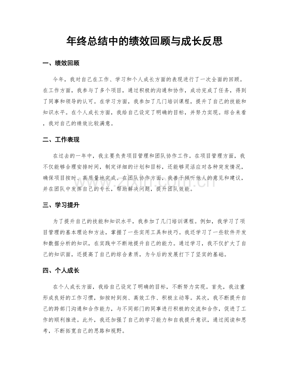 年终总结中的绩效回顾与成长反思.docx_第1页