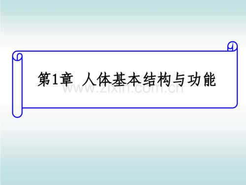 人体基本结构与功能上皮组织.ppt