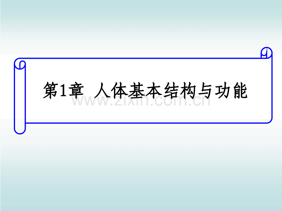 人体基本结构与功能上皮组织.ppt_第1页