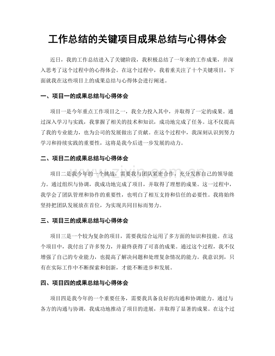 工作总结的关键项目成果总结与心得体会.docx_第1页