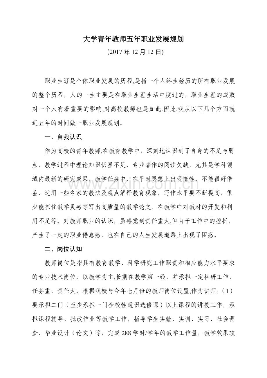 大学青年教师五年职业发展规划.doc_第1页