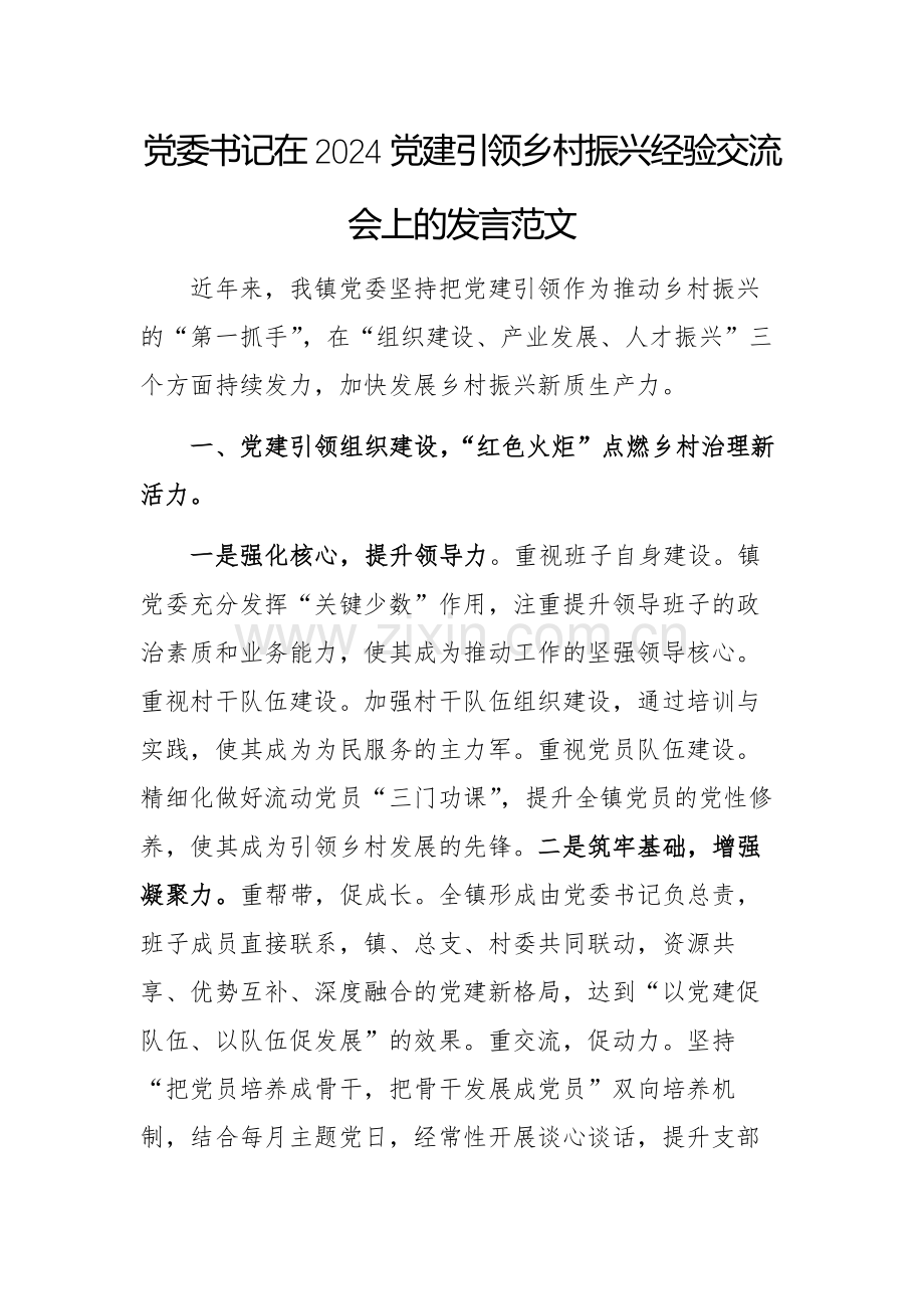 党委书记在2024党建引领乡村振兴经验交流会上的发言范文.docx_第1页