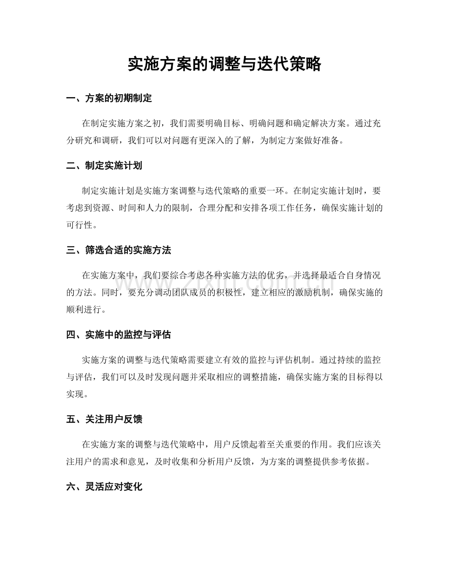 实施方案的调整与迭代策略.docx_第1页