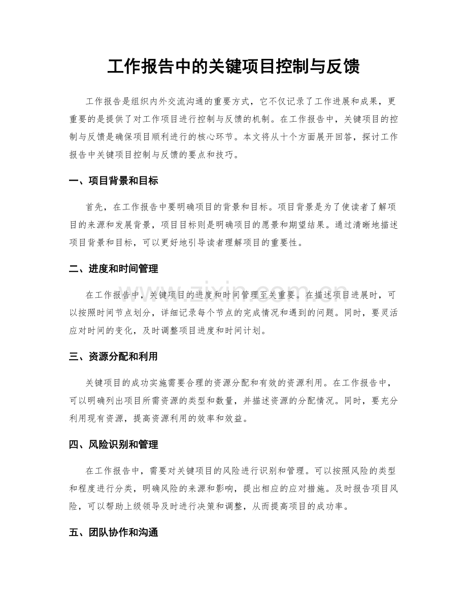 工作报告中的关键项目控制与反馈.docx_第1页