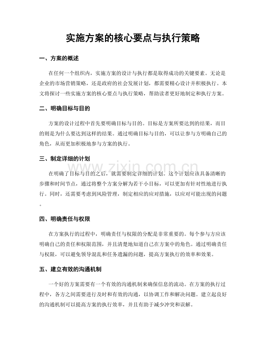 实施方案的核心要点与执行策略.docx_第1页