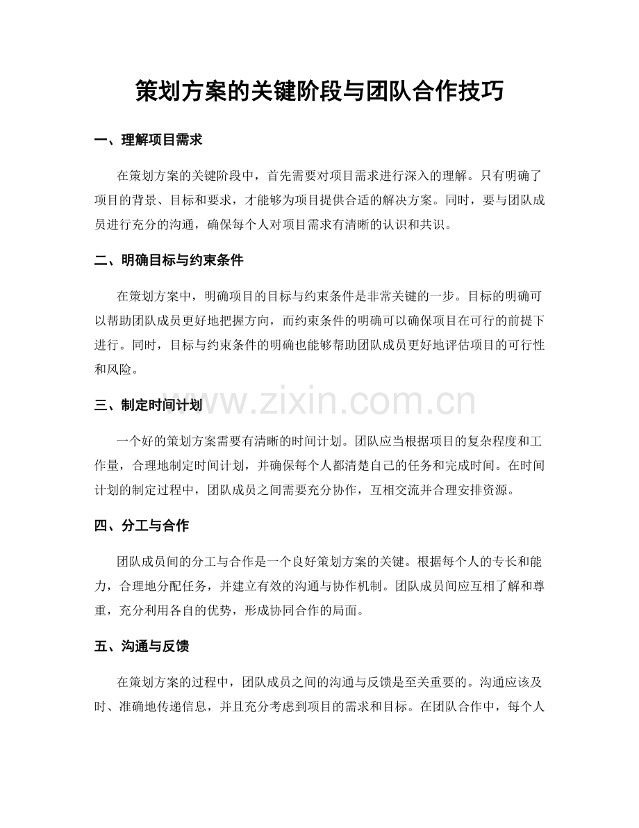 策划方案的关键阶段与团队合作技巧.docx_第1页