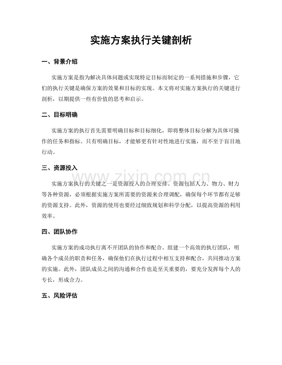 实施方案执行关键剖析.docx_第1页