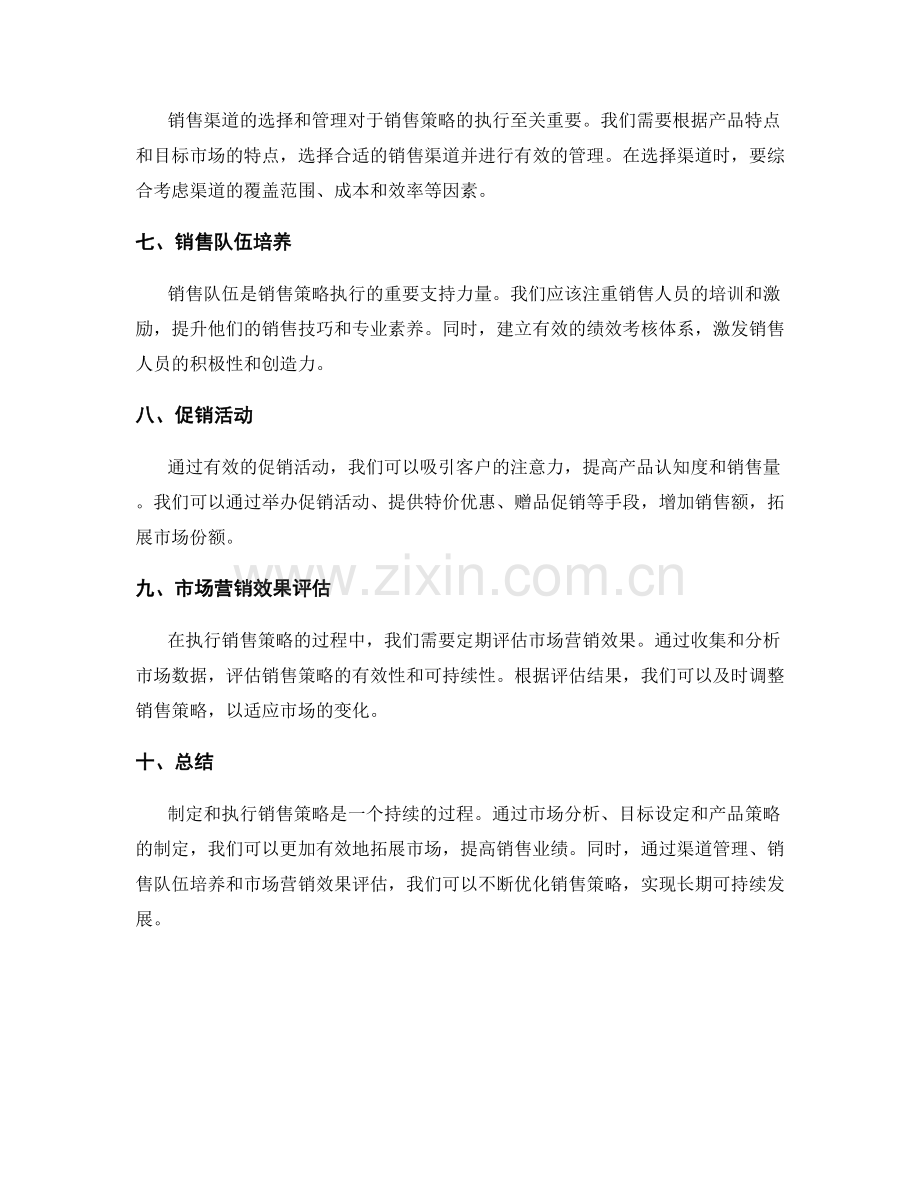 销售策略执行计划.docx_第2页