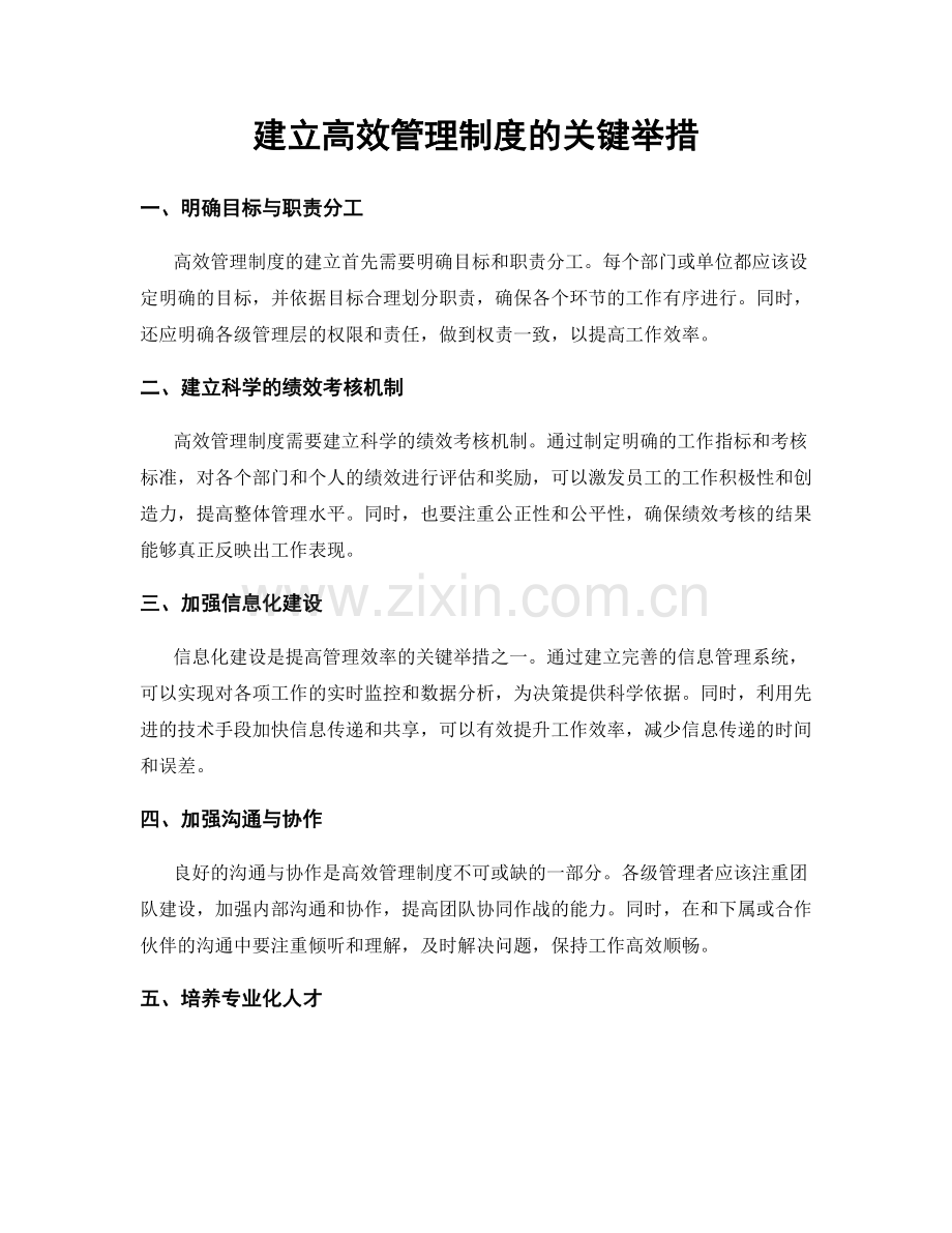 建立高效管理制度的关键举措.docx_第1页