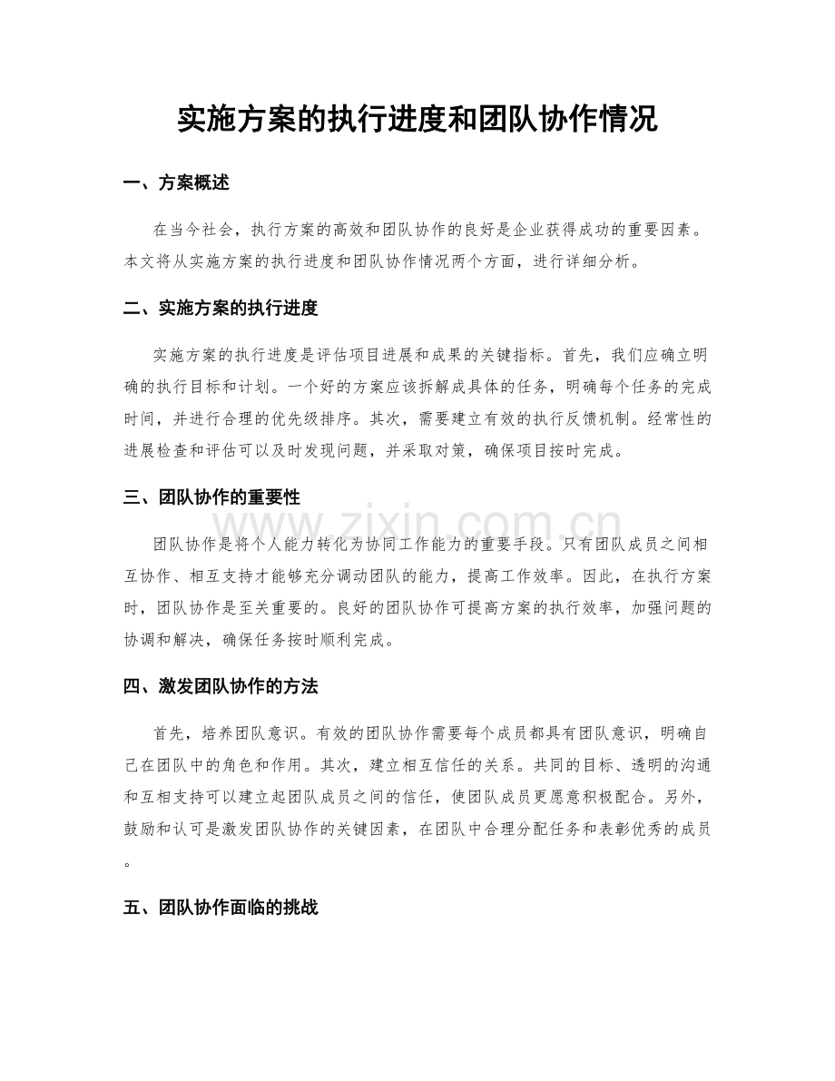 实施方案的执行进度和团队协作情况.docx_第1页