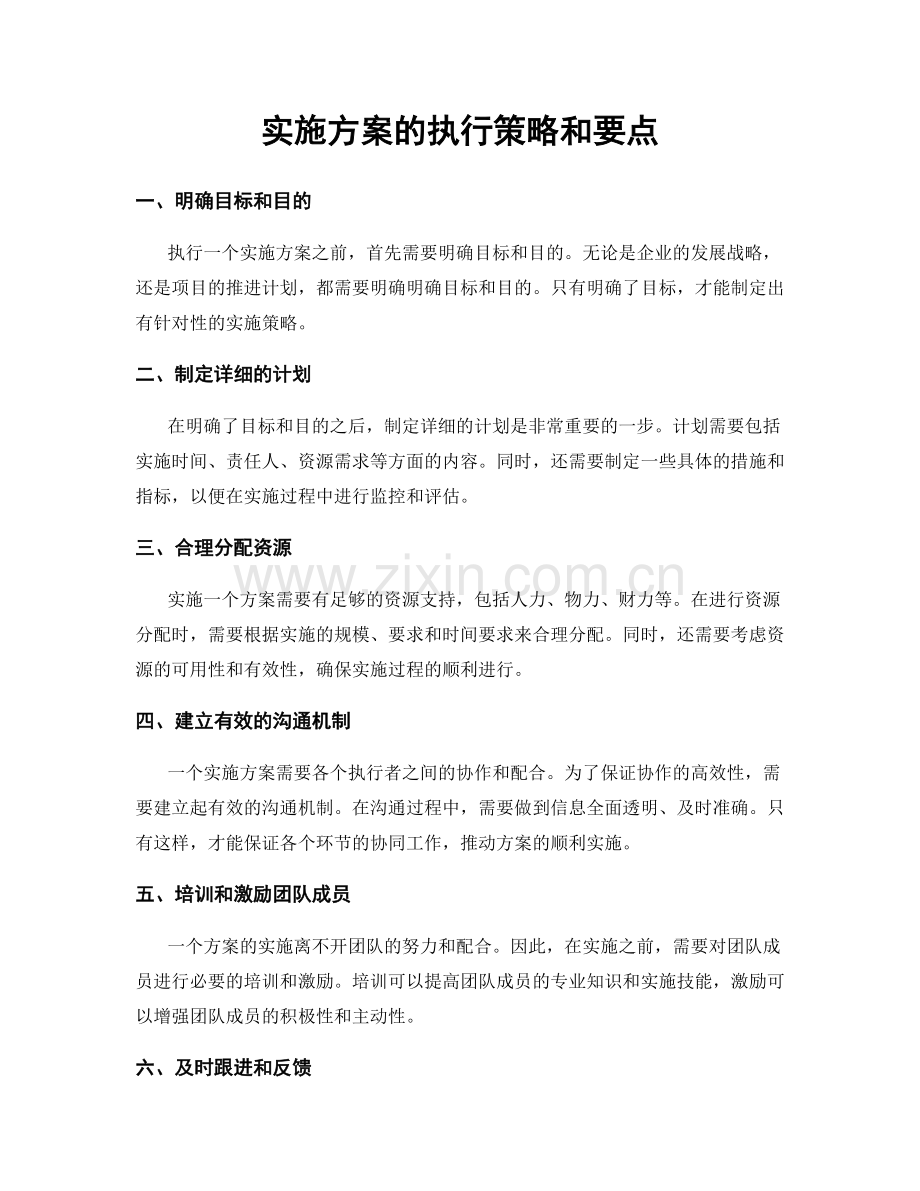 实施方案的执行策略和要点.docx_第1页