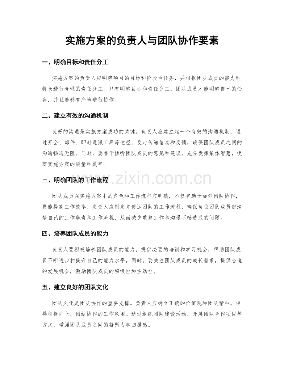 实施方案的负责人与团队协作要素.docx_第1页