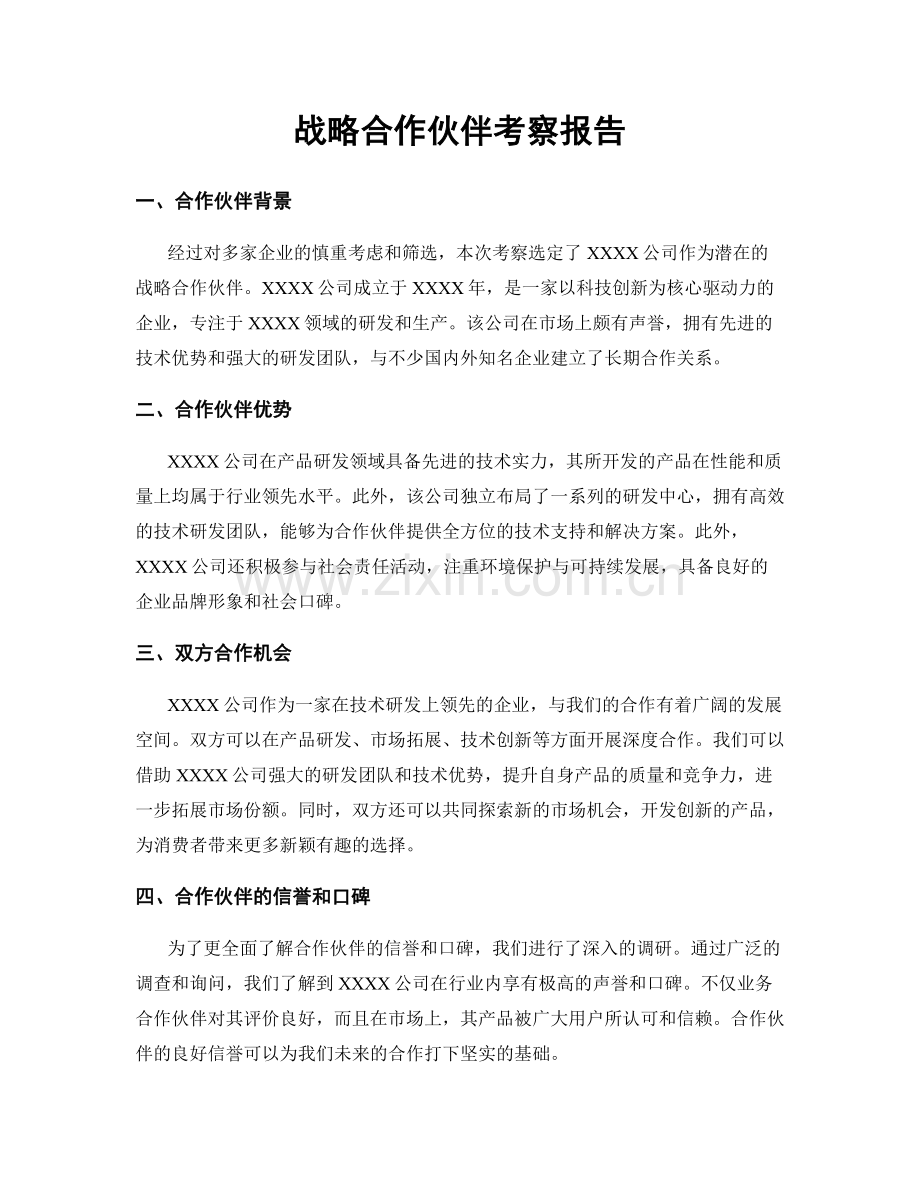 战略合作伙伴考察报告.docx_第1页