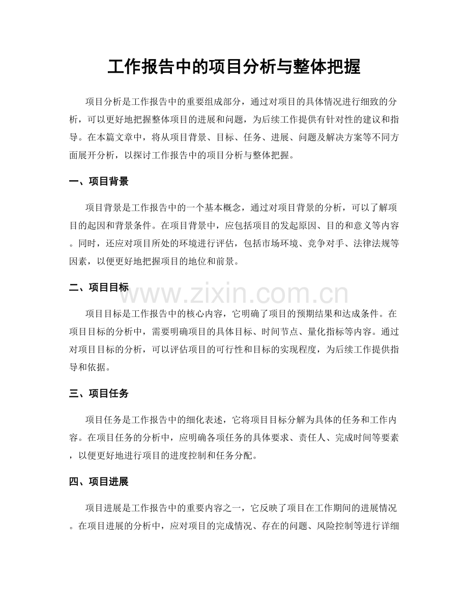 工作报告中的项目分析与整体把握.docx_第1页