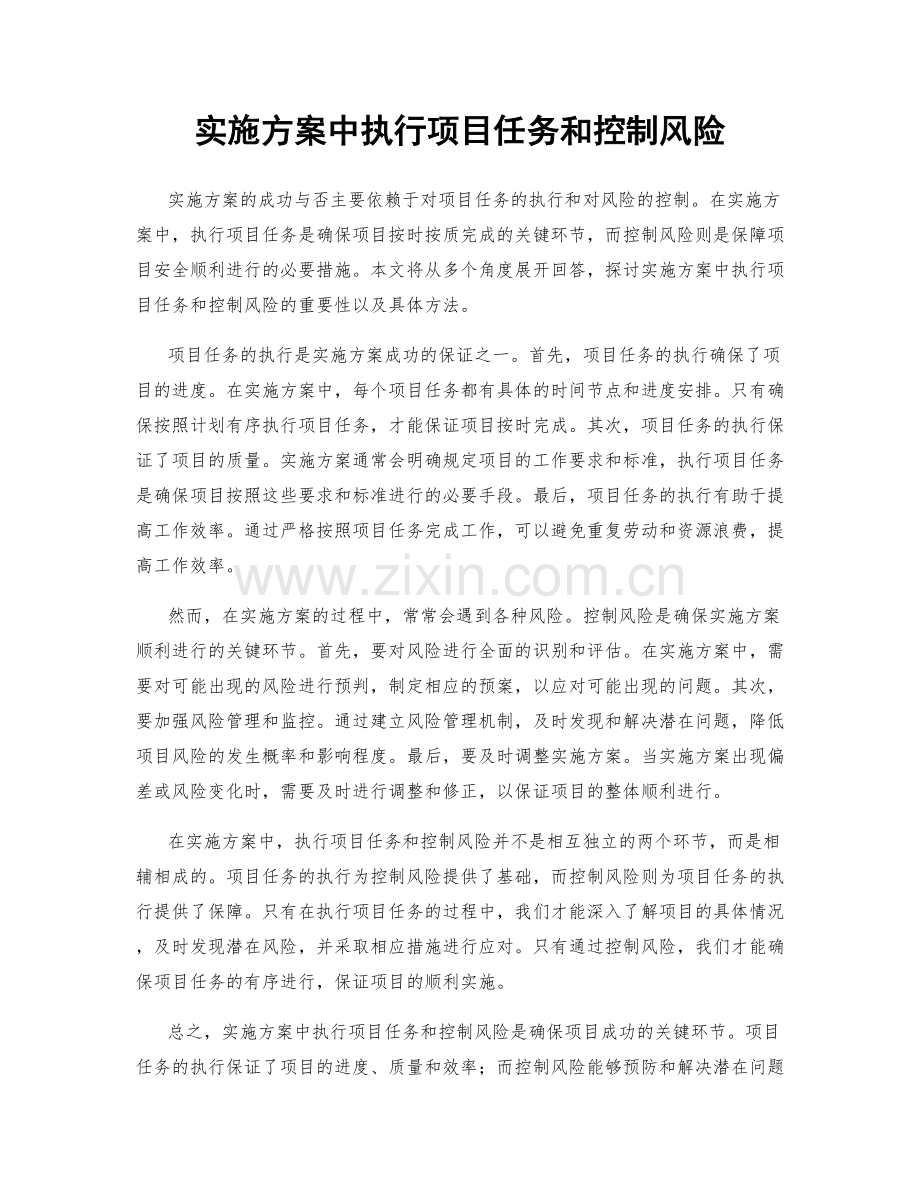 实施方案中执行项目任务和控制风险.docx_第1页