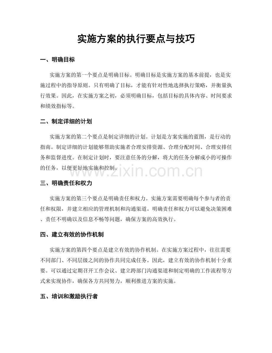 实施方案的执行要点与技巧.docx_第1页