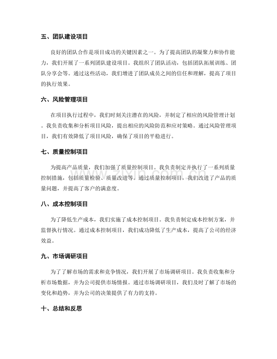 工作报告中的项目执行情况与总结.docx_第2页