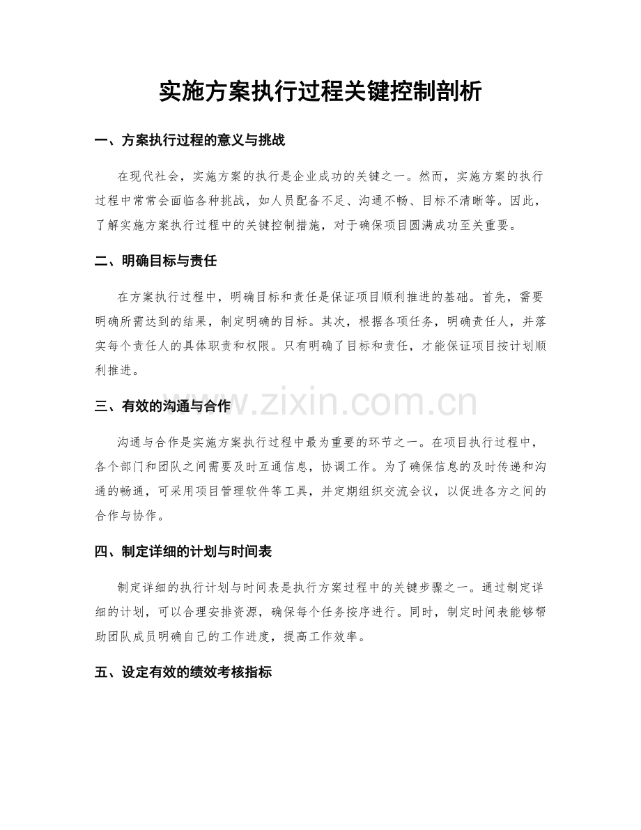 实施方案执行过程关键控制剖析.docx_第1页