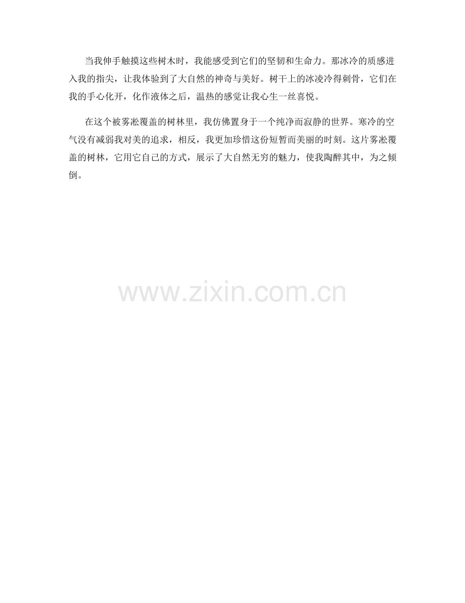 雾凇覆盖的树林.docx_第2页