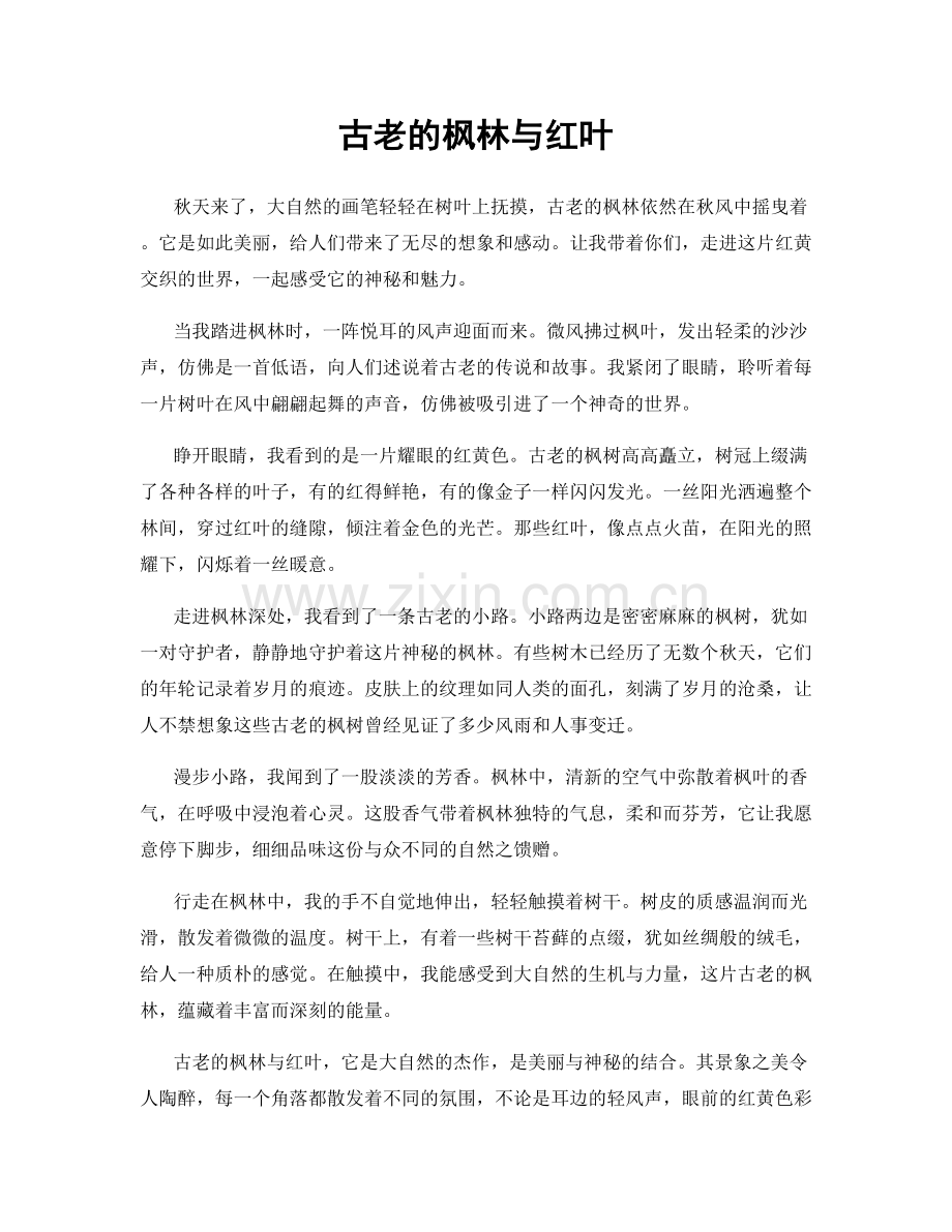 古老的枫林与红叶.docx_第1页