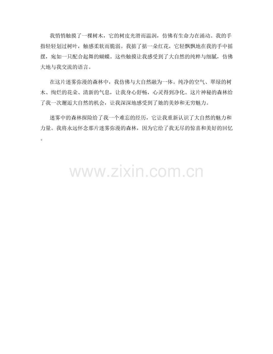 迷雾弥漫的森林探险.docx_第2页