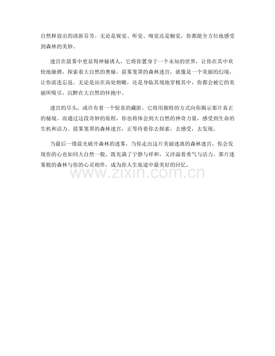 晨雾笼罩的森林迷宫.docx_第2页