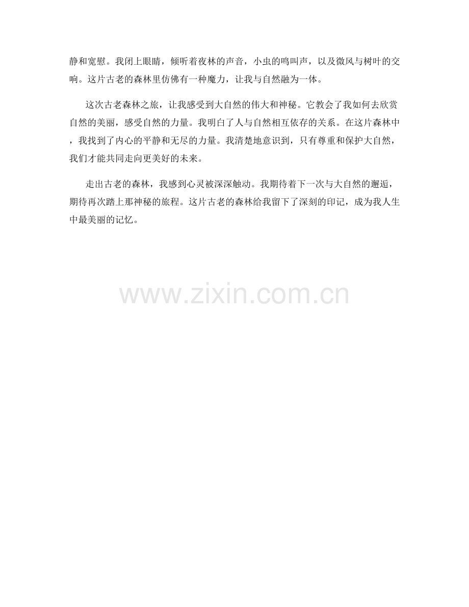 古老的森林神秘之旅.docx_第2页