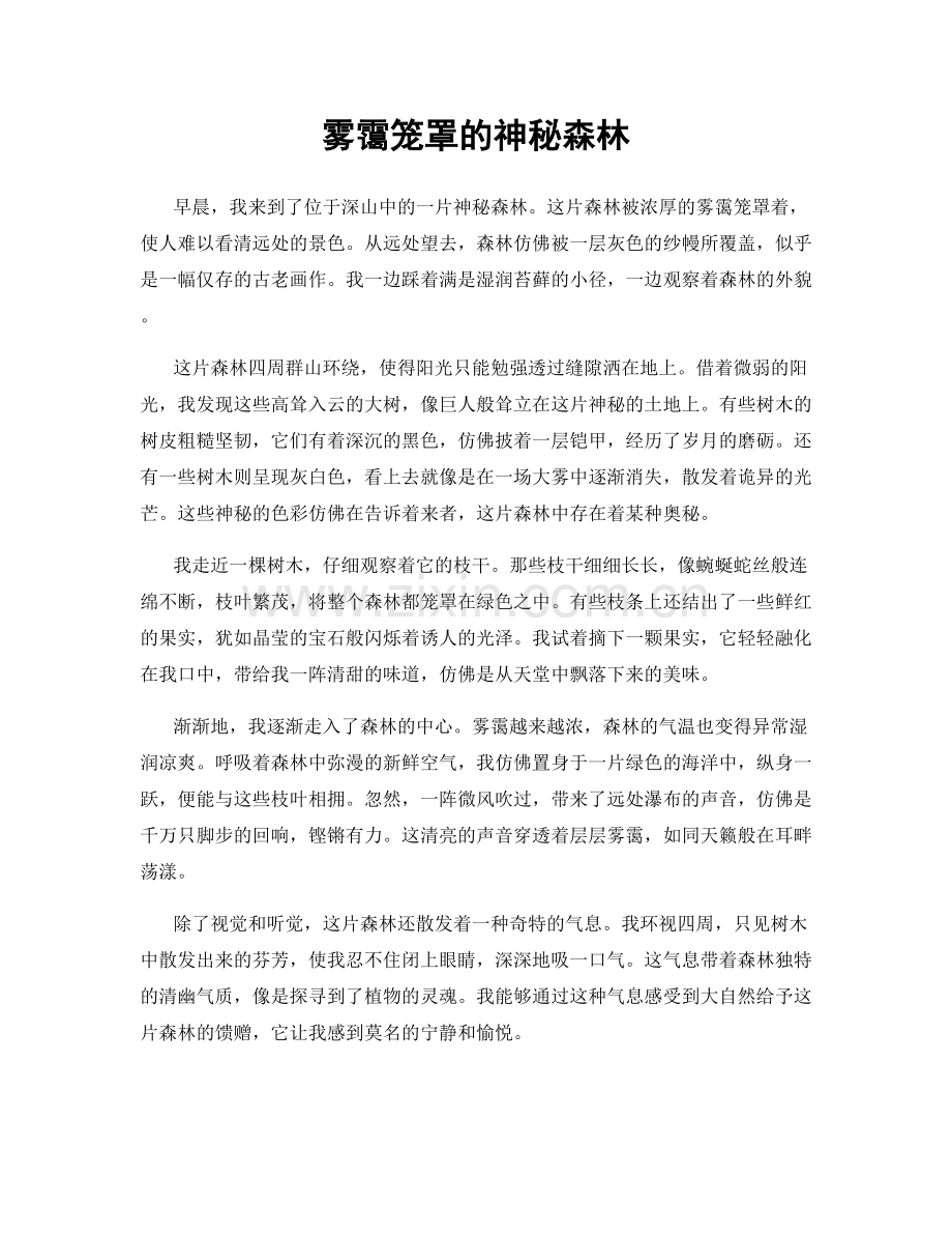 雾霭笼罩的神秘森林.docx_第1页