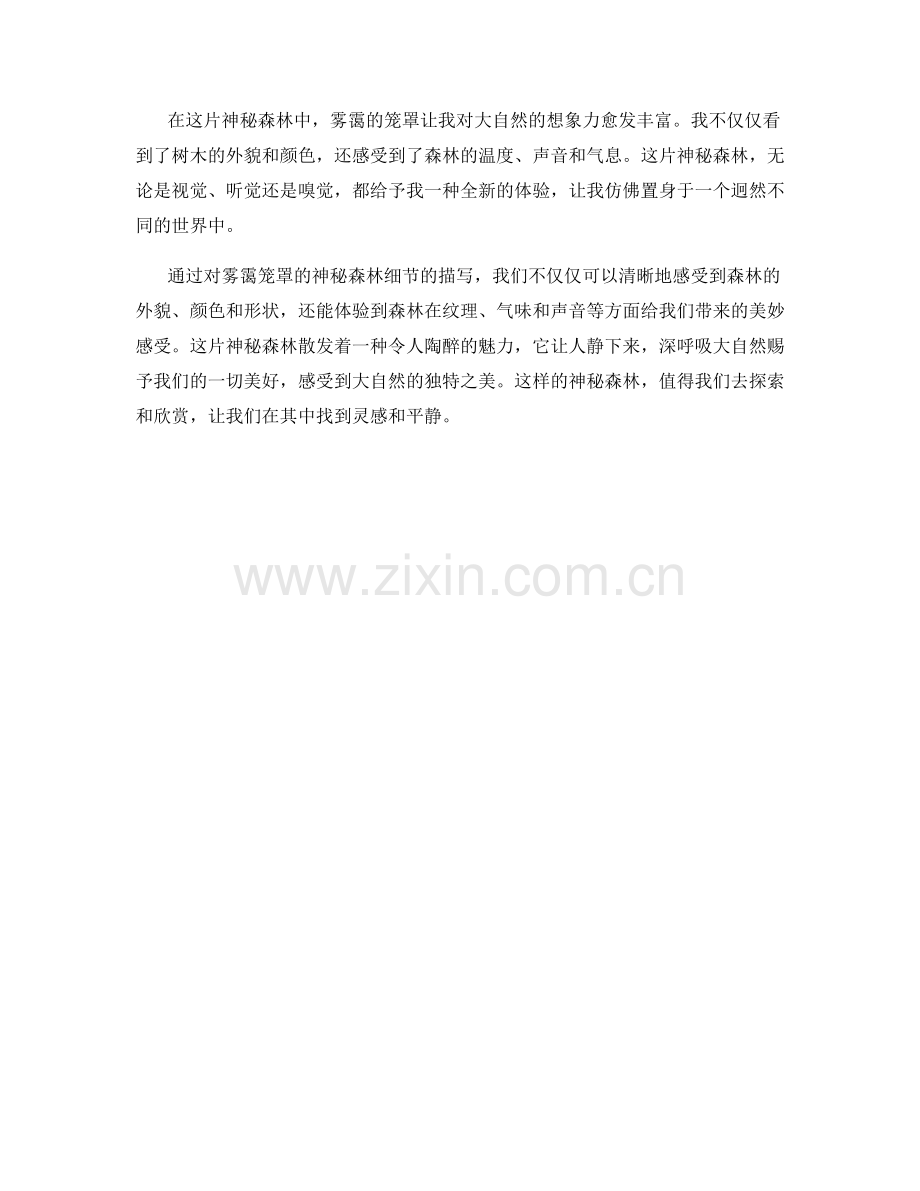 雾霭笼罩的神秘森林.docx_第2页