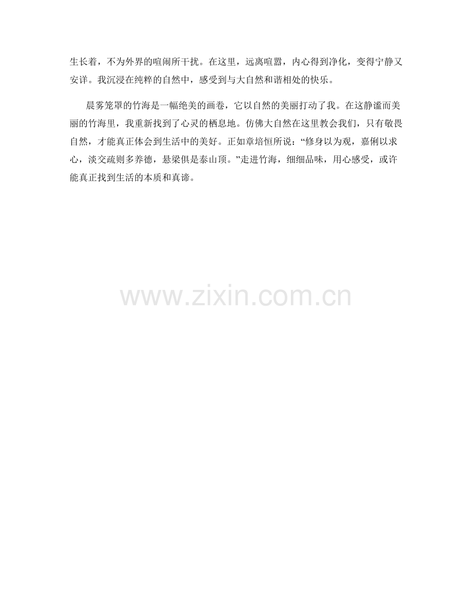 晨雾笼罩的竹海.docx_第2页