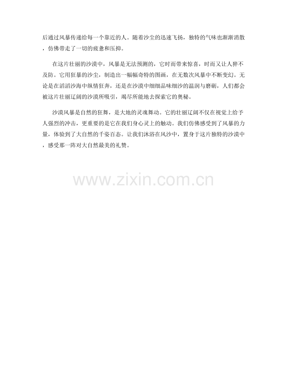 壮丽辽阔的沙漠风暴.docx_第2页