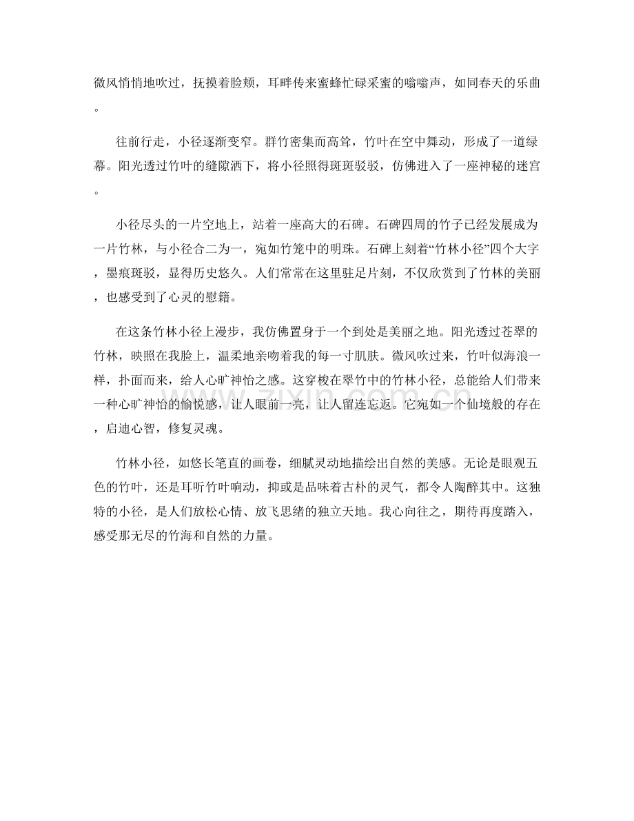 意境悠长的竹林小径.docx_第2页