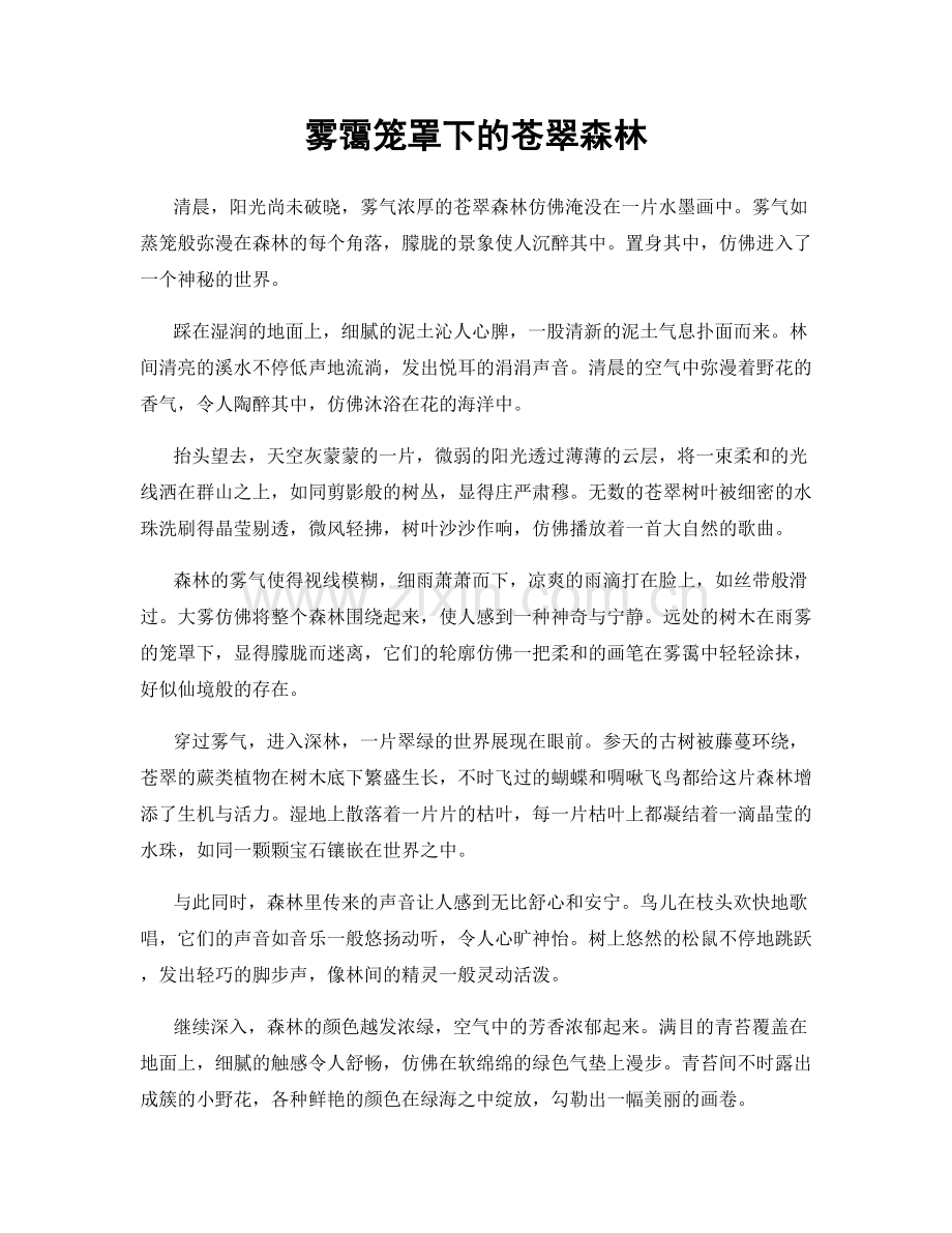 雾霭笼罩下的苍翠森林.docx_第1页