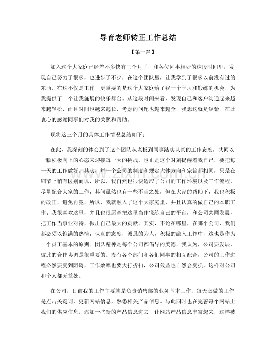 导育老师转正工作总结.docx_第1页