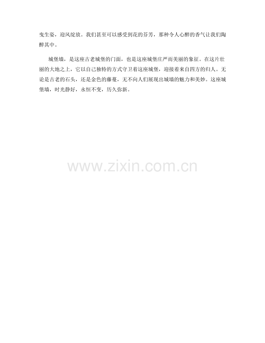 古老的城堡墙.docx_第2页