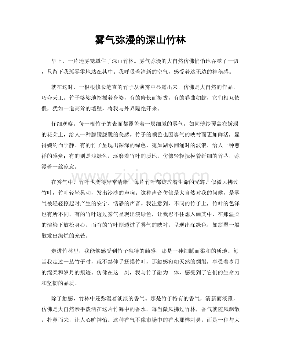 雾气弥漫的深山竹林.docx_第1页