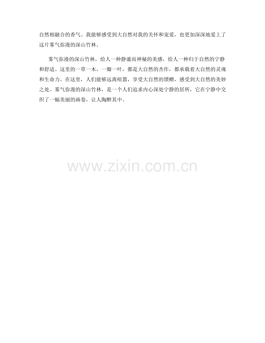 雾气弥漫的深山竹林.docx_第2页