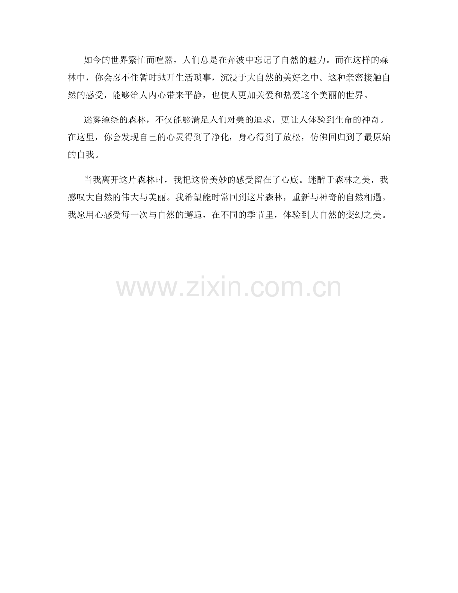 雾气缭绕的森林.docx_第2页