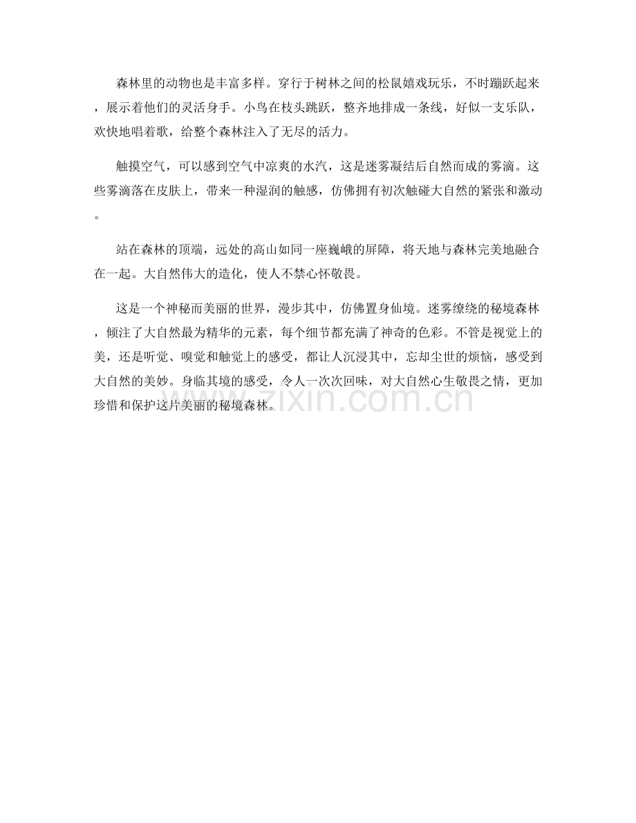 雾气缭绕的秘境森林.docx_第2页