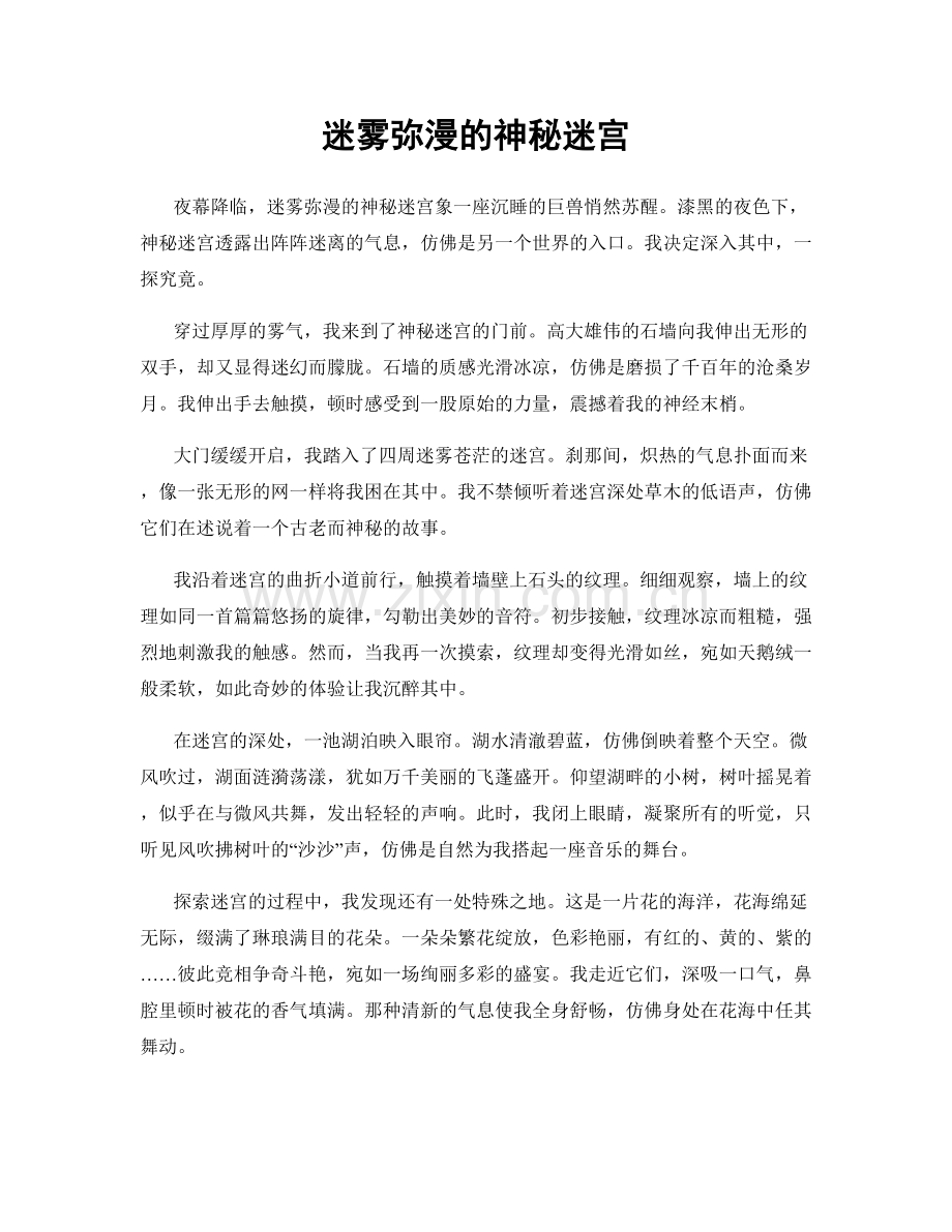 迷雾弥漫的神秘迷宫.docx_第1页