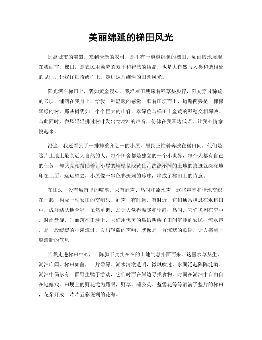 美丽绵延的梯田风光.docx_第1页