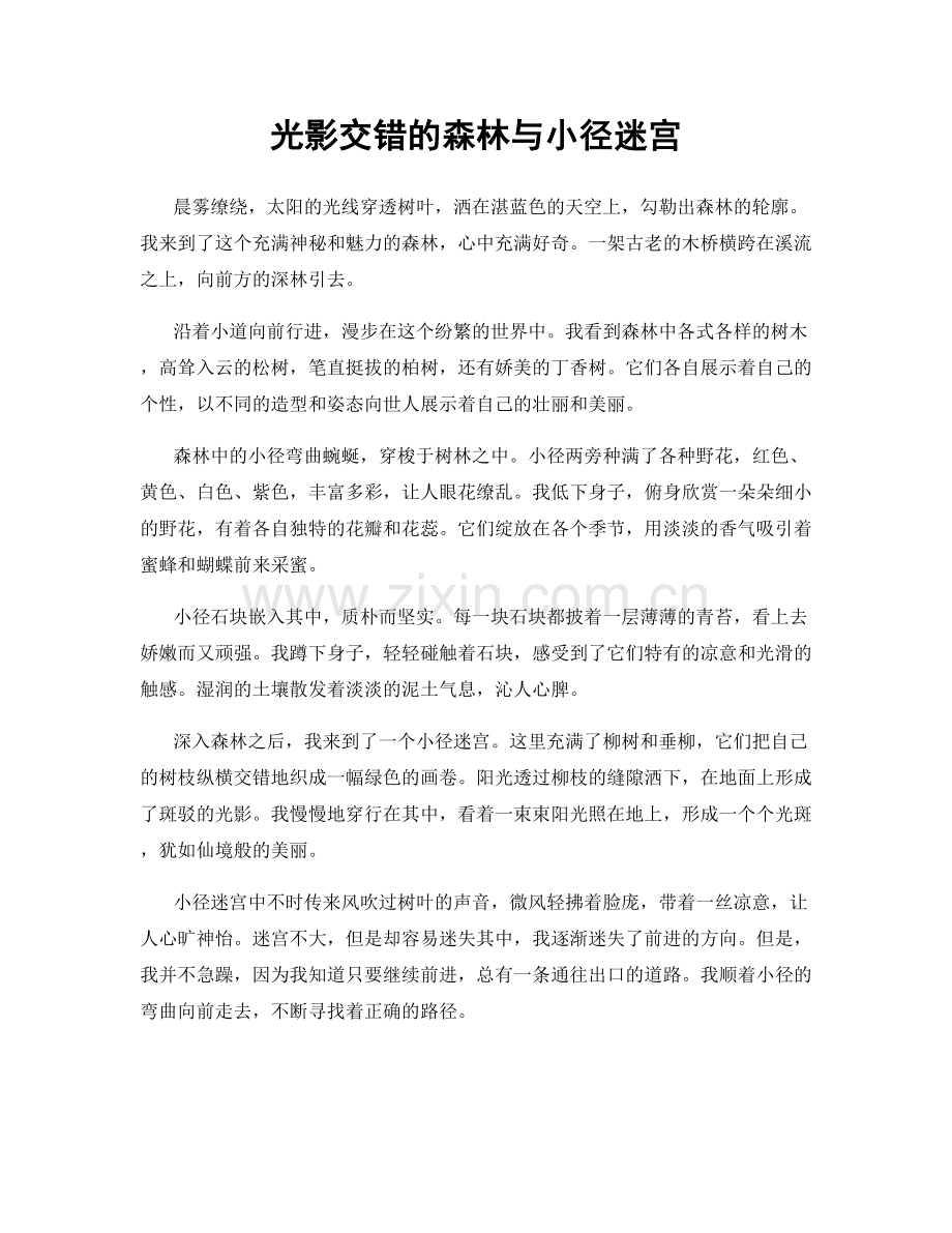 光影交错的森林与小径迷宫.docx_第1页