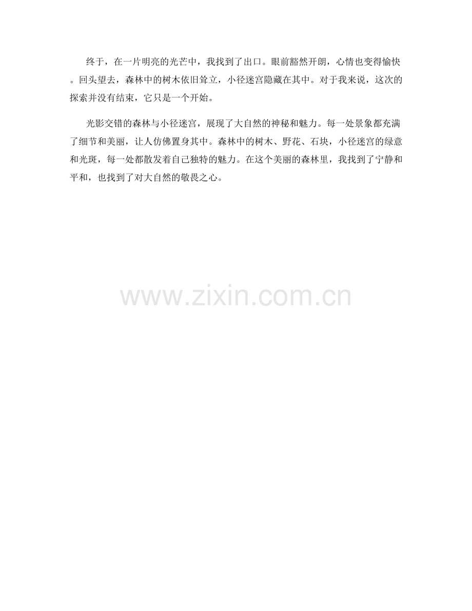 光影交错的森林与小径迷宫.docx_第2页