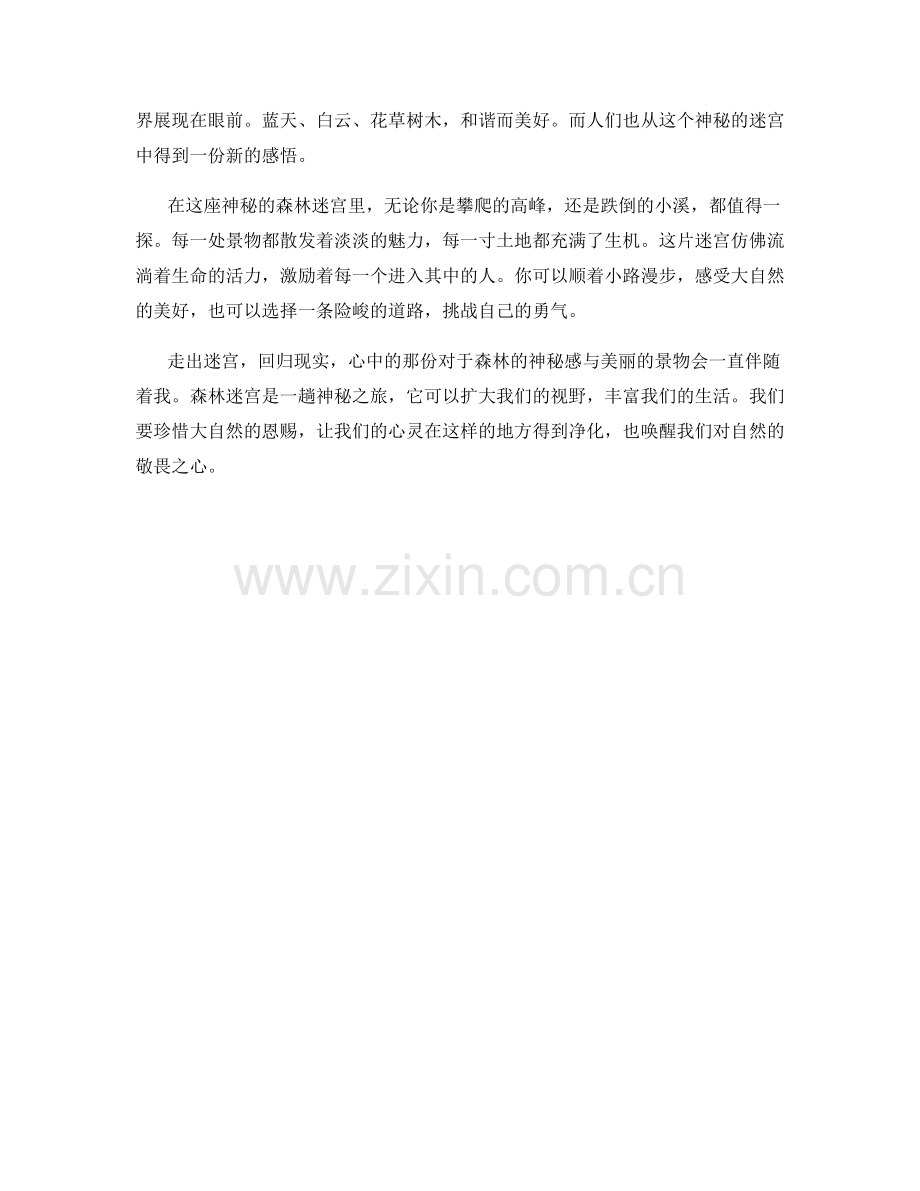 弥漫著神秘氛围的森林迷宫.docx_第2页